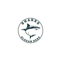 shark logo template vector in white background