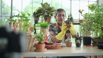 un empresario senior que trabaja con una cámara presenta plantas domésticas durante la transmisión en vivo en línea en casa, vendiendo concepto en línea video