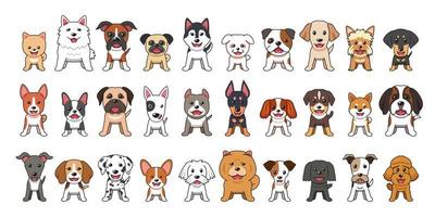 Different type of vector cartoon dogs on white background
