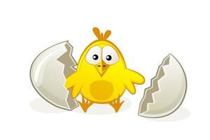 Cute of newborn baby chicken in the egg. Broken egg. Vector flat illustration for kids.