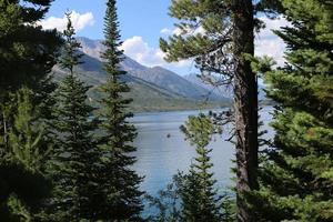 Natural Landscapes open space photo