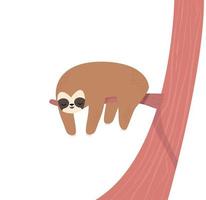 sloth sleeping on Tree Branch vector