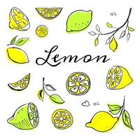 Hand drawn Lemon set1 vector