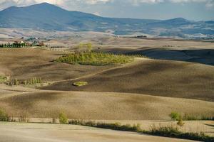 otoño en italia. colinas aradas amarillas de toscana con sombras y líneas interesantes foto