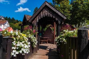 Flowering village in Alsace. Sunlit streets full of flowers. photo