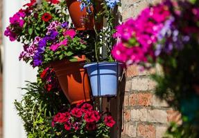 Pot flowers on an italian street. Space decoration. Summer photo