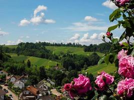 Green hills of Black Forest region view through the fresh roses, Germany photo