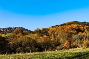 Autumn colors of nature in Alsace, colorful leaves and fgorests photo