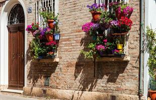 Pot flowers on an italian street. Space decoration. Summer photo