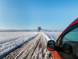 Snowy road in the fields of Alsace. Sunny winter day. photo