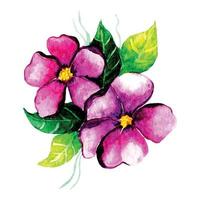 Pink Watercolor Flowers vector