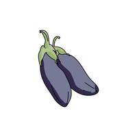 Two eggplants, vegetable harvest, vector hand draw illustration