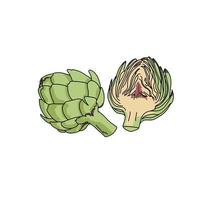 Healthy green vegetable artichoke, whole and half fruit, healthy eating vector