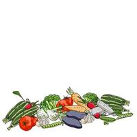 cosecha de verduras, una diapositiva con varias verduras de temporada, ilustración vectorial dibujada a mano vector