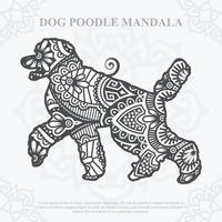 vector de mandala de perro. estilo boho svg. eps 10