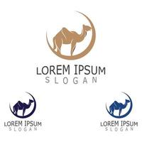 Vector Camel icon and logo design elements labels template vintage