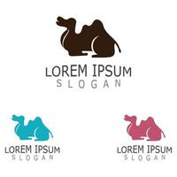 Vector Camel icon and logo design elements labels template vintage