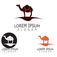 Vector Camel icon and logo design elements labels template vintage