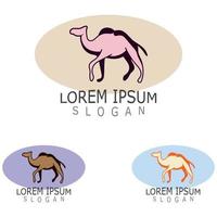 Vector Camel icon and logo design elements labels template vintage