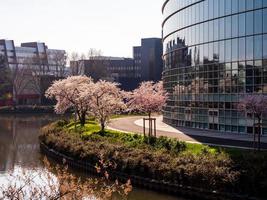 la ciudad vacía de estrasburgo. tiempo de cuarentena epidemia de coronavirus. nadie. foto