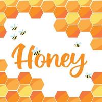 Hand drawn poster with honeycomb and bees. Honey store poster or postcard. vector