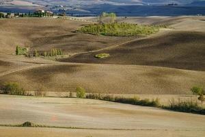 otoño en italia. colinas aradas amarillas de toscana con sombras y líneas interesantes foto