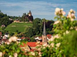 colinas verdes de la región del bosque negro vistas a través de las rosas frescas, alemania foto