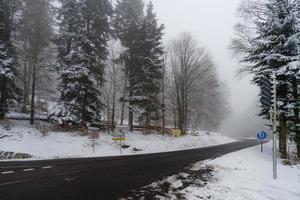 Empty winter road with snow in the forest photo