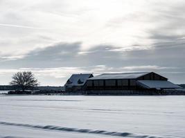 Winter's Tale. Snow-covered clean light landscape of Alsace. photo