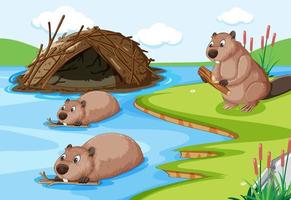 Forest scene with beavers building a dam house vector