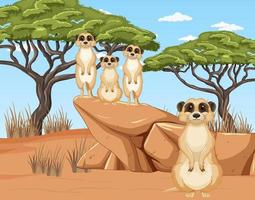 Desert scene with meerket group vector