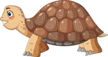 Side view of tortoise with brown shell in cartoon style vector