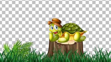 Turtle on the grass field on grid background vector