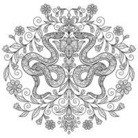 Snake and flowers hand drawn for adult coloring book vector