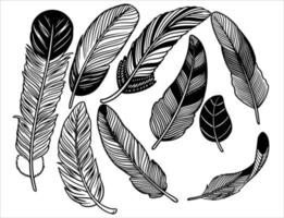 Hand drawn bohemian, tribal, ethnic set of feathers. vector