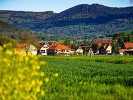 Beautiful yellow fields of colza, bio fuel component, agriculture in France photo