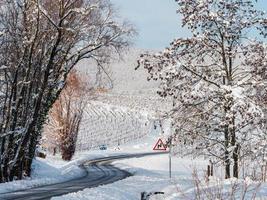 Alsace vineyards under heavy snow on a sunny winter day. Details and top view. photo