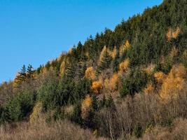 Bright autumn colors in the Vosges mountains. Alsace. photo