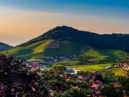 Sunset colors on the vineyards hill in Black Forest photo