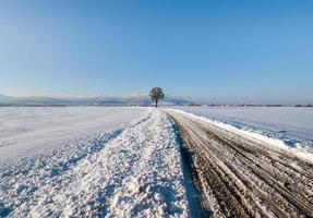 Snowy road in the fields of Alsace. Sunny winter day. photo