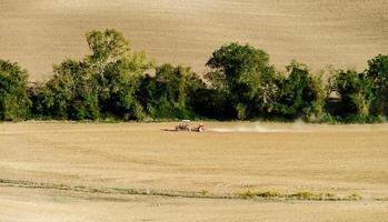 Tractor on the field, Tuscany, autumnal plowing, agricultural concept photo