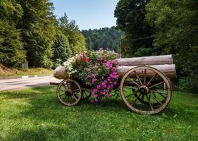 Flowering village in Alsace. Cart with logs decorated with flowers. photo