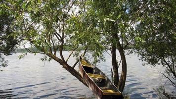 an old boat near a tree at the edge of the lake photo