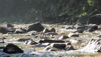 río de montaña en el bosque foto