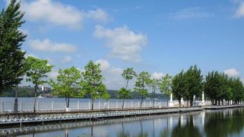 small bridge across the lake in the summer photo