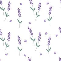 Lavender seamless pattern with flowers. Vector illustration isolated. For design, printing on paper or fabric