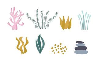 algas y corales, un conjunto de lindas plantas del océano. ilustración vectorial aislada en un fondo blanco. vector
