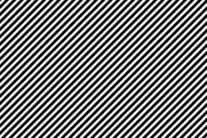 fabric black and white stripe diagonal pattern modern style of fashion trendy cloth texture background vector