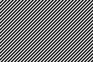 fabric black and white stripe diagonal pattern modern style of fashion trendy cloth texture background vector