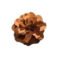 Vector pine cone